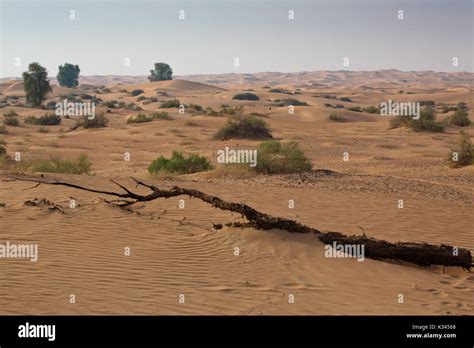 Desert Landscape in Middle East Stock Photo - Alamy