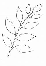 Coloring Pages  Download Leaf coloring Page sketch template