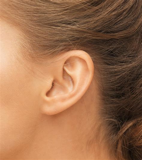 Attached and Detached Earlobes: The Curious Genetics Behind Your Ears