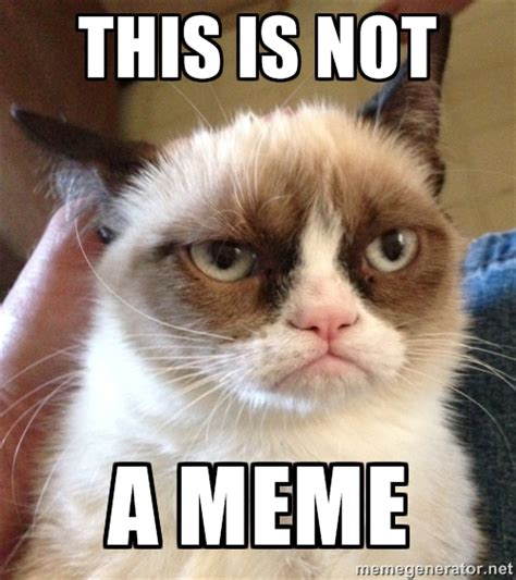 Grumpy Cat Meme | "This is Not a Pipe" Parodies | Know Your Meme