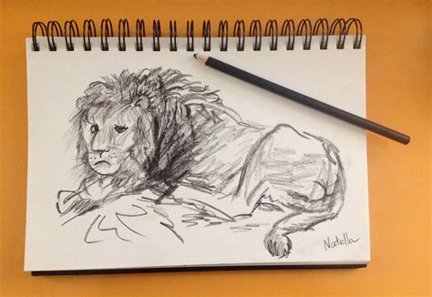 Lion Lying Down Drawing at PaintingValley.com | Explore collection of ...