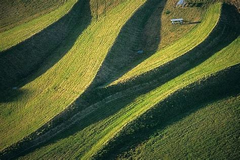 California, San Francisco, Aerial view of Crissy Field | David Sanger ...