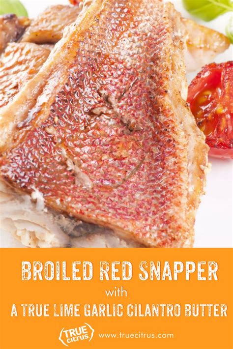 Broiled Red Snapper with a True Lime Garlic Cilantro Butter | Recipe | Whole fish recipes ...
