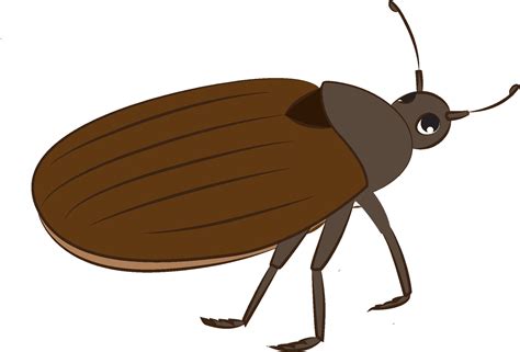 Free bug clipart, Download Free bug clipart png images, Free ClipArts on Clipart Library