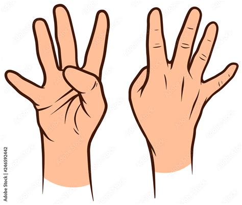 Cartoon graphic white human hands. Showing four fingers. Isolated on ...