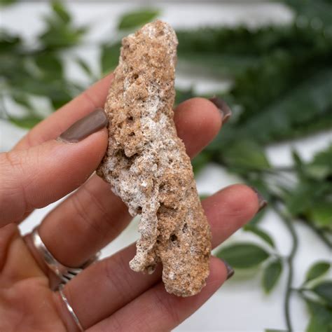 Fulgurite #7 - The Crystal Council