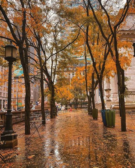 Rainy cold autumn day in New York. | Autumn scenery, Autumn instagram ...