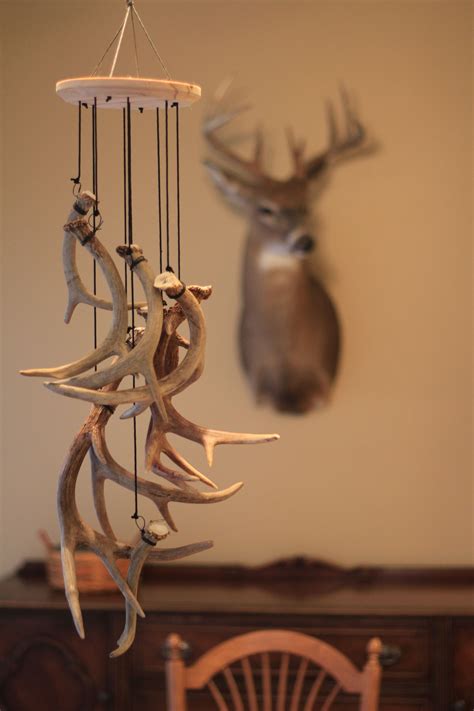 If you are a shed hunter or have some antlers around that may not have reached the status of ...