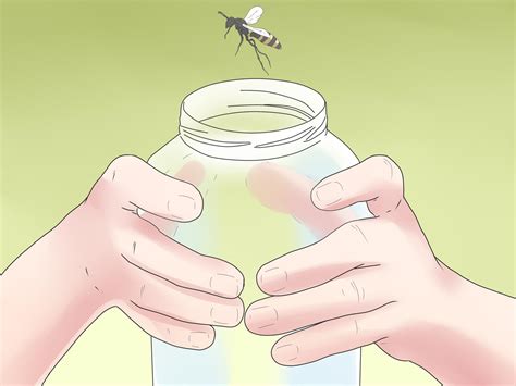 How to Get Rid of a European Hornet: 5 Steps (with Pictures)