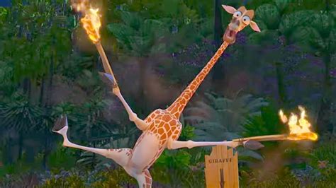 DreamWorks Madagascar | Melman's Attempt to Start a Fire! | Madagascar ...