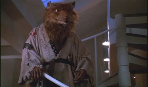 Master Splinter Quotes. QuotesGram