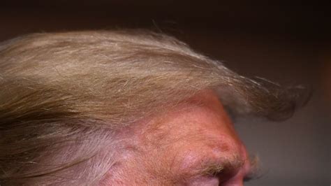 9 hairstyles Donald Trump should try if he wants to be taken seriously ...