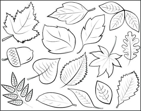 Image result for line art fall leaves simple | Leaf drawing, Fall leaves drawing, Flower drawing