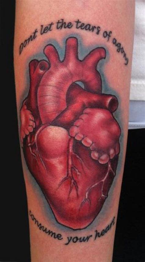 tatuajes corazones humanos Archivos - qTatuajes.com | Human heart ...