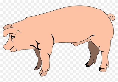 Download Barn, Farm, Pink, Pig, Side, Animal, Mud, - Cartoon Pig Side View Clipart Png Download ...