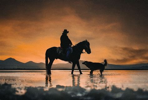 Where to Go Horseback Riding in Maryland: 15+ Places - Our Kids