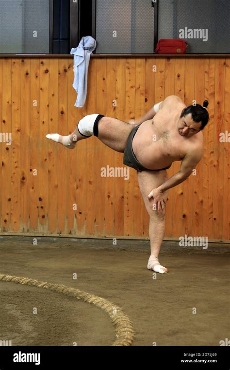 Japanese Sumo wrestlers training inside a traditional Sumo stable in early morning.Koto City ...