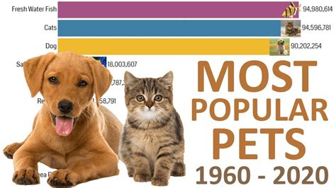 Most Popular Pets In The World (1960-2020) - YouTube