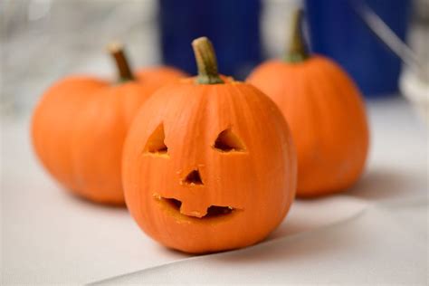 halloween themed wedding - mini pumpkins for the table decor Halloween ...