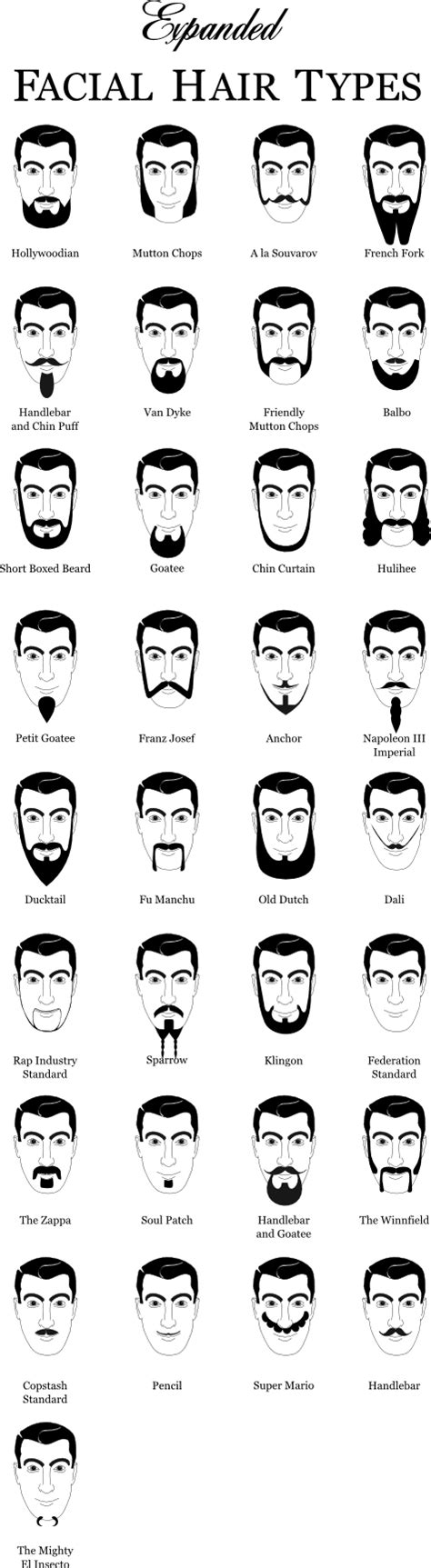 The Expanded Beard Type Chart | Jon Dyer's Blog | Types of facial hair ...