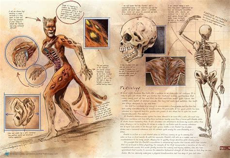 DC Comics: Anatomy of a Metahuman | Book by S.D. Perry, Matthew Manning ...