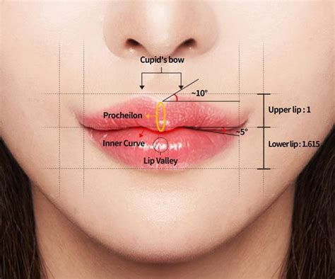 Cherry lips / plastic perfect lips 2020 | Sfondi vintage, Anatomia, Vintage