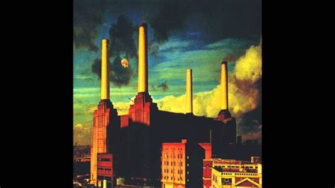 Pink Floyd - Dogs (1977) | Pink floyd animals, Pink floyd dogs, Pink ...