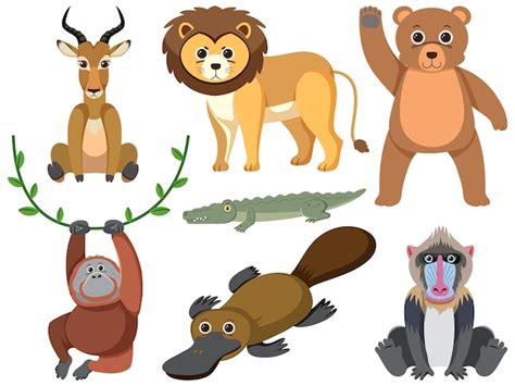 Premium Vector | Group of wild animals in simple cartoon style
