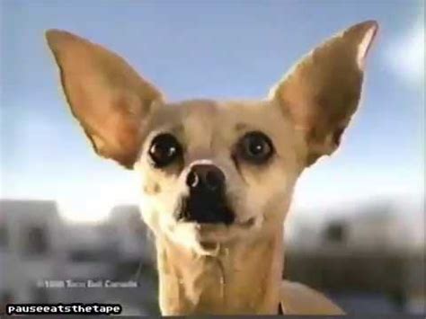 Remember the late Taco Bell chihuahua? : r/nostalgia