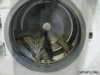 Dryer GIFs - Find & Share on GIPHY