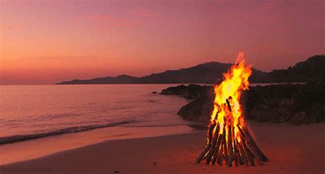 Beach Sunset GIFs - Find & Share on GIPHY