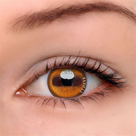 TTDeye Goat Eye Brown Colored Contact Lenses | Contact lenses colored ...