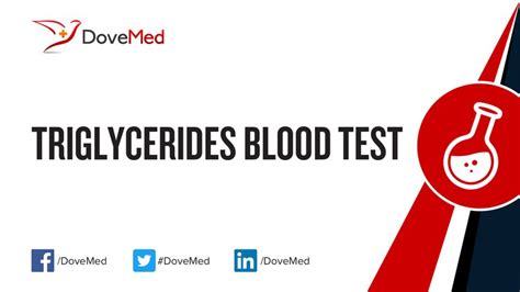 Triglycerides Blood Test