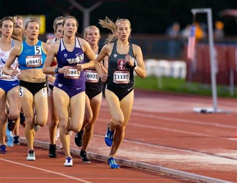 Track and field advances 14 to NCAA Championships