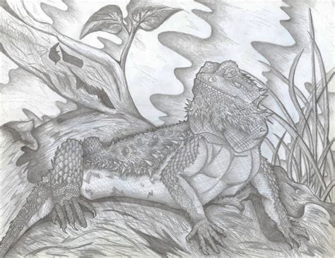 Bearded Dragon Pencil Drawing - Etsy