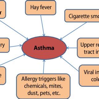 Common triggers of asthma | Download Scientific Diagram