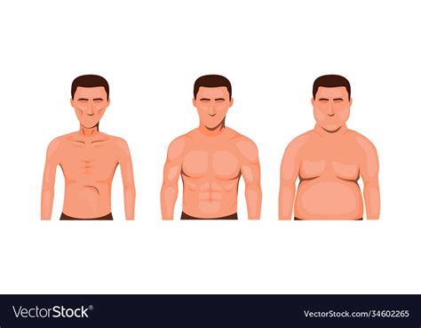 Man body type skinny fat and muscle Royalty Free Vector