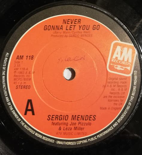 Sergio Mendes* - Never Gonna Let You Go (1983, Vinyl) | Discogs