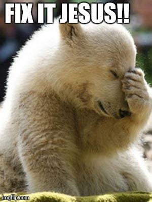 Facepalm Bear Meme - Imgflip