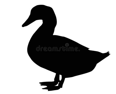 Duck Silhouette Stock Illustrations – 14,772 Duck Silhouette Stock ...