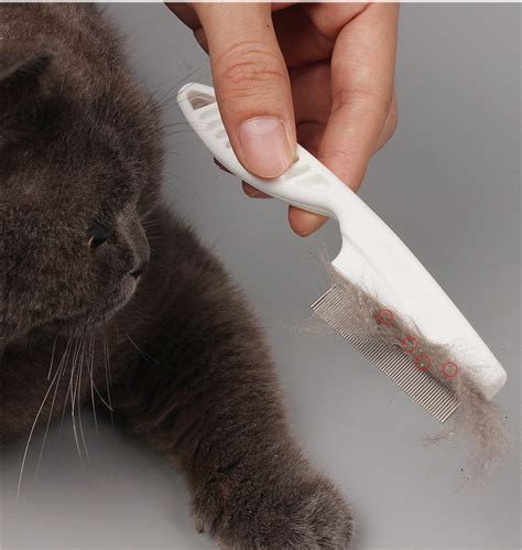 Discount 2020Protect Flea Comb For Cats Dogs Pet Stainless Steel Comfort Flea Hair Grooming ...