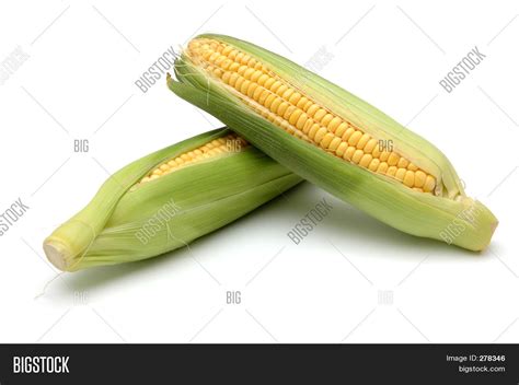 Corn Cob 2 Image & Photo (Free Trial) | Bigstock