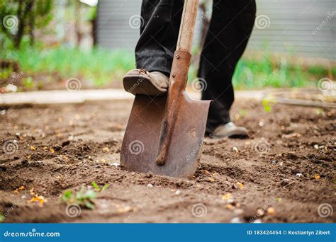 Closeup Of A Shovel And A Man Digging A Hole At The Garden For The Plant To Be Placed Inside ...