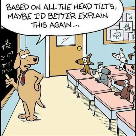 based on all the head tilts - Google Search (With images) | Math cartoons, Teacher humor, Dog comics