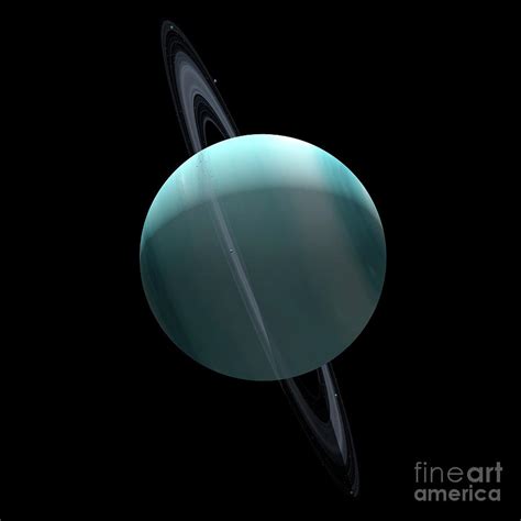 Uranus And Its Rings by Claus Lunau/science Photo Library