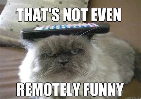 That's not even remotely funny - remote cat - quickmeme