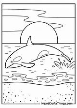 15 Killer Whale Coloring Pages 100% Free Printables sketch template