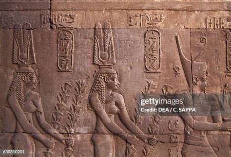 Ptolemy Ix Photos and Premium High Res Pictures - Getty Images