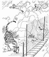 Free Printable Zoo Coloring Pages For Kids sketch template