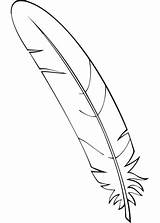 Feather coloring page  Free Printable Coloring Pages sketch template
